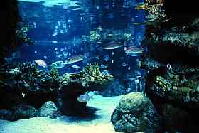 Immagine tratta dall'Archivio DIA