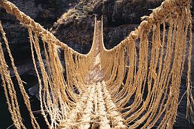 Immagine tratta dall'archivio DIA