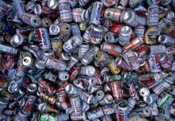 Banca Dati Dia, Indire