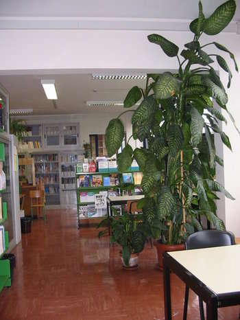 la biblioteca