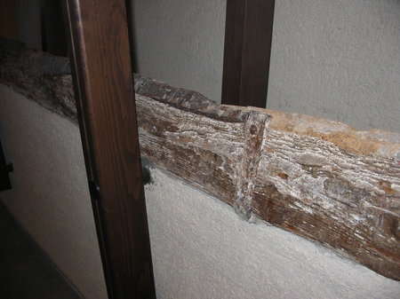 particolare della mangiatoia