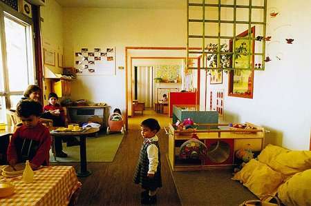 una sezione del nido