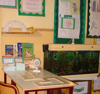 angolo matematica e scienze