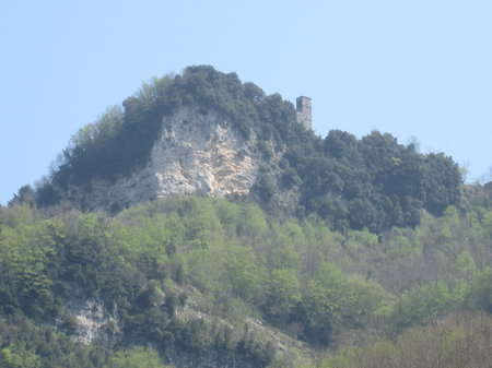 il bosco all'esterno