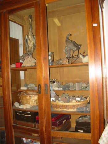 laboratorio di scienze