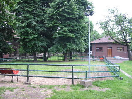 prato per il pascolo