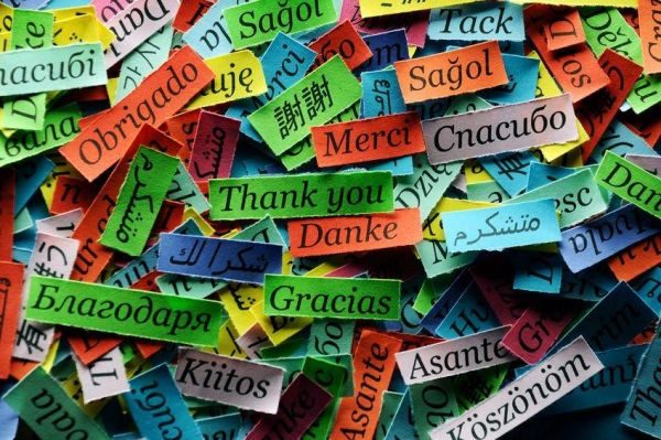 Label europeo delle lingue 2018, cresce la qualità. Tutti i vincitori