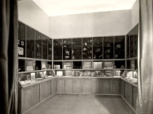 Immagine Sala Magistero palazzo INDIRE