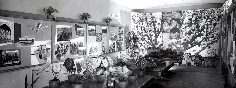 Sala Dell'Agraria palazzo INDIRE