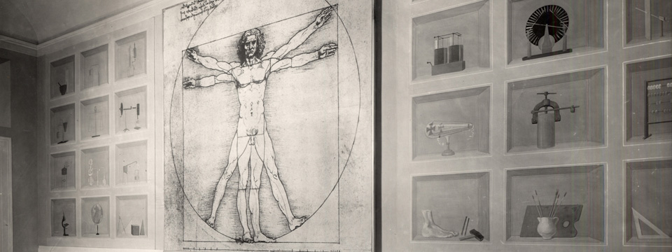 Dettaglio Uomo Vitruviano Sala Siderarium palazzo INDIRE